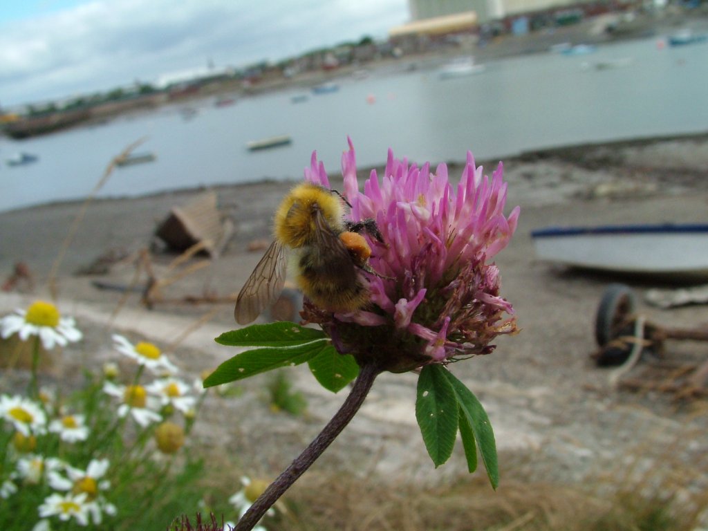 Click now to see this image full size.