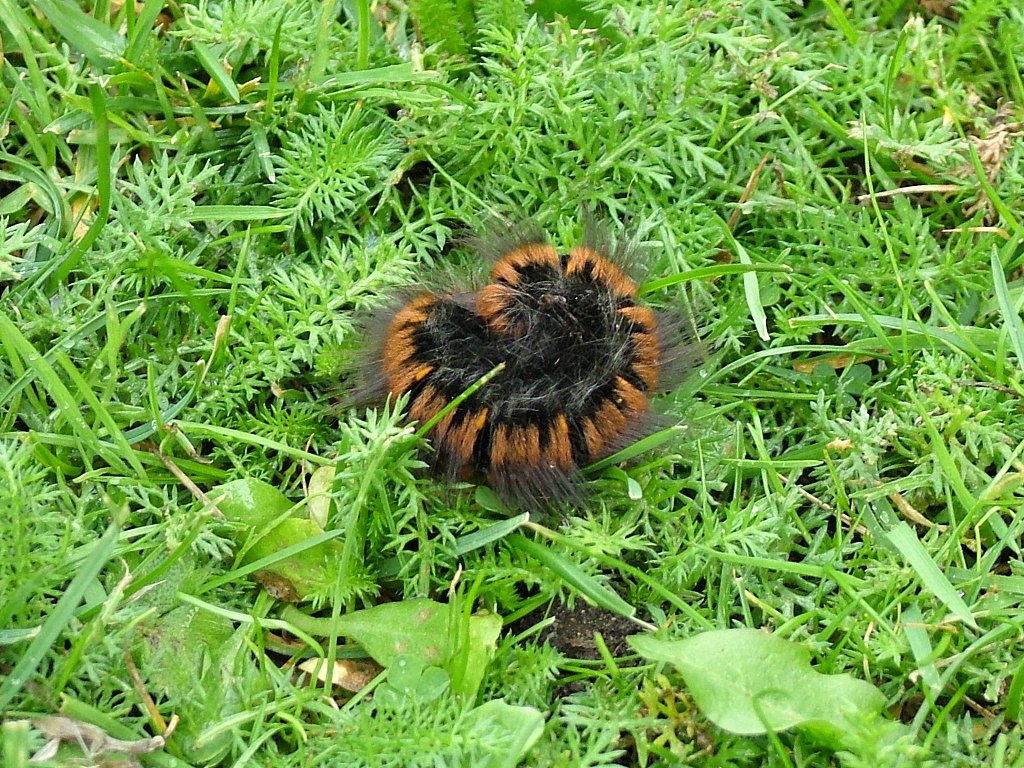 Click now to see this image full size.