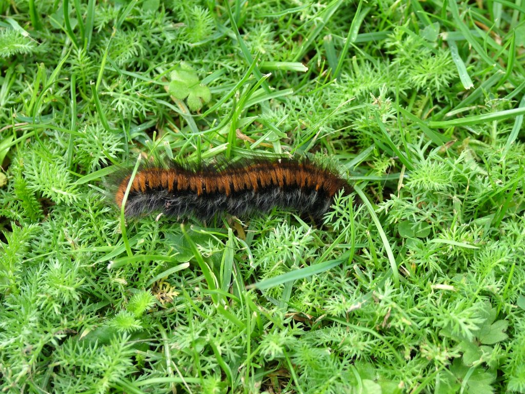 Click now to see this image full size.