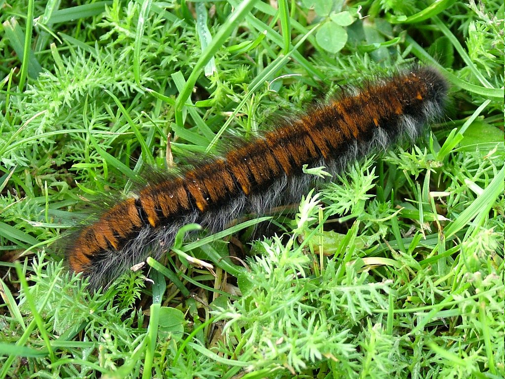 Click now to see this image full size.