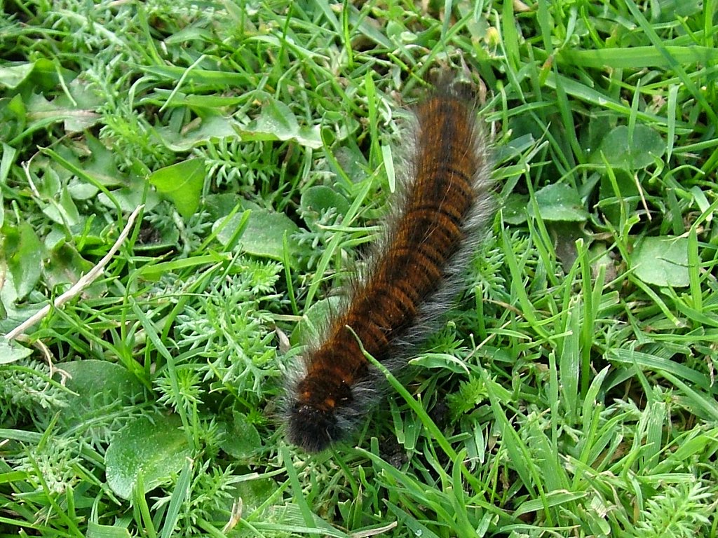 Click now to see this image full size.