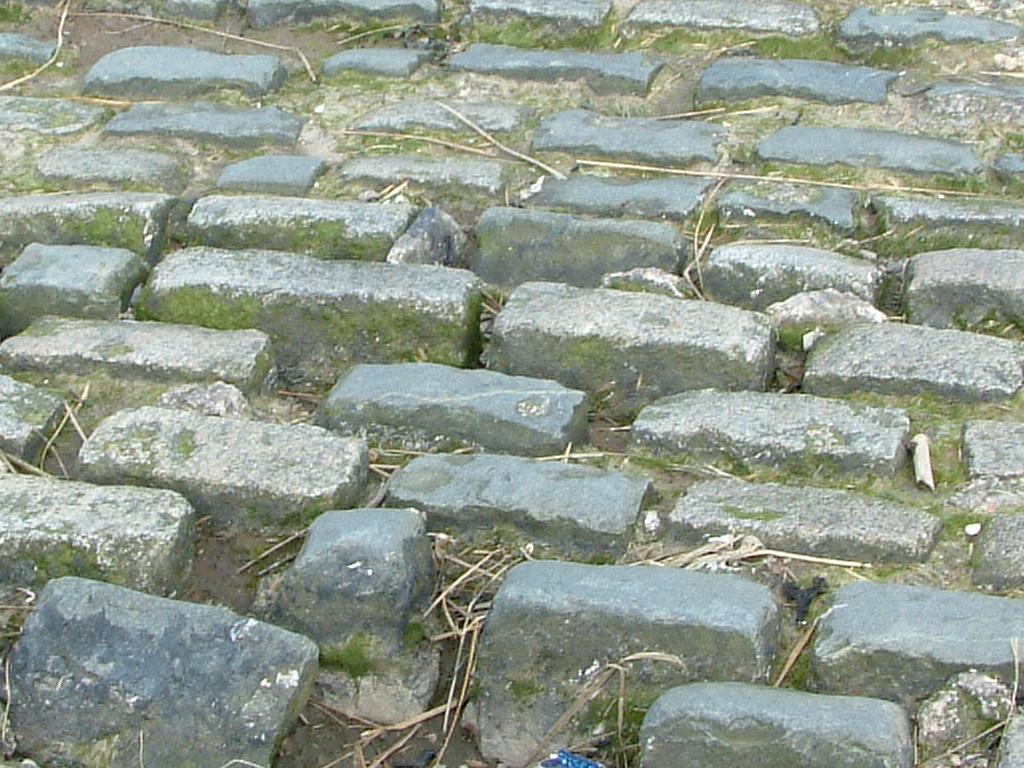 Click now to see this image full size.