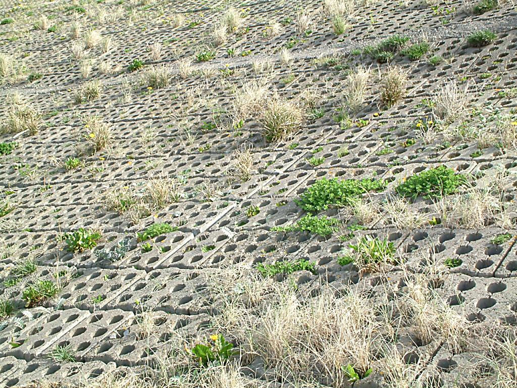 Click now to see this image full size.