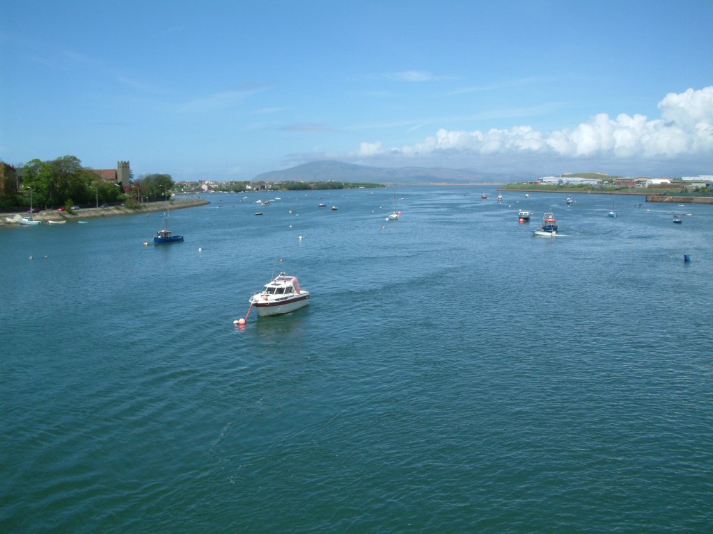 Click now to see this image full size.