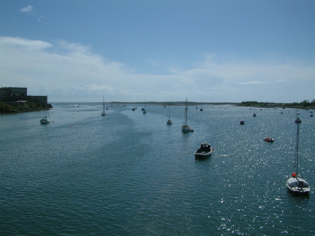 Click now to see this image full size.