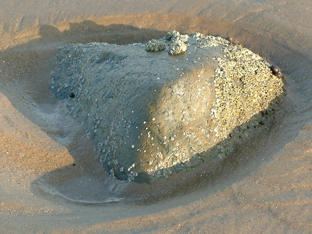 Click now to see this image full size.