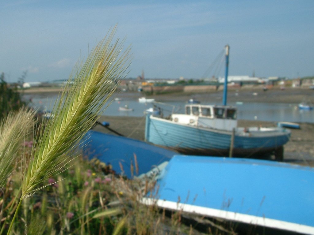 Click now to see this image full size.