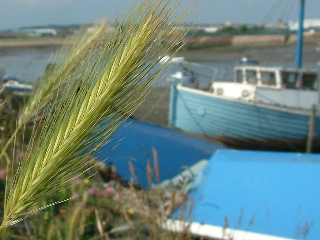 Click now to see this image full size.