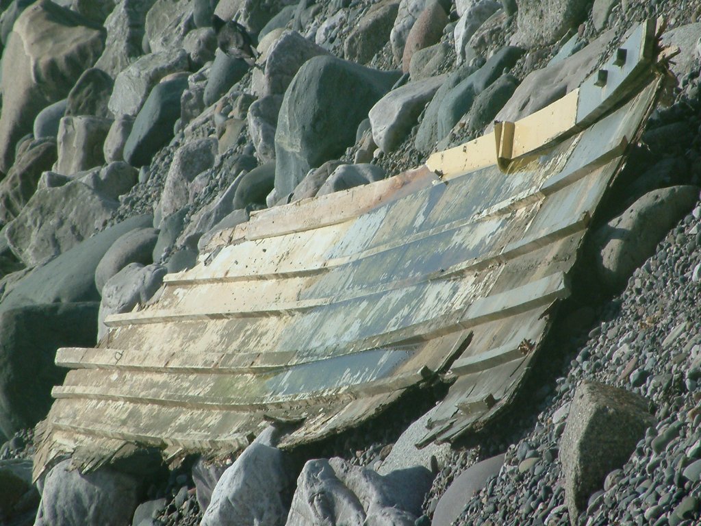 Click now to see this image full size.