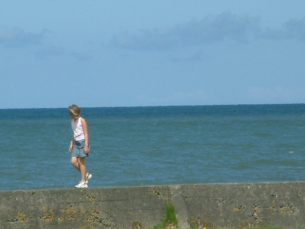 Click now to see this image full size.