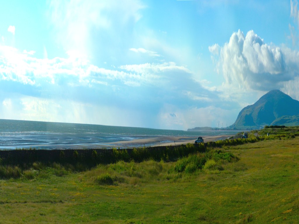 Click now to see this image full size.