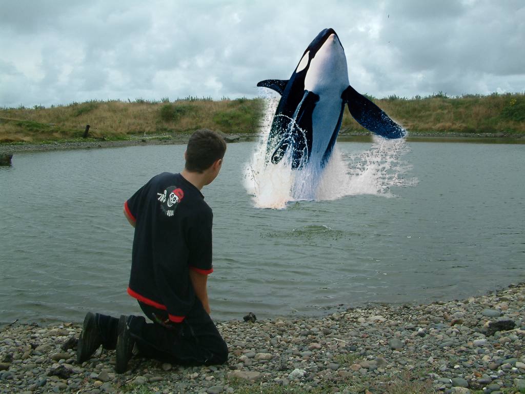 Click now to see this image full size.