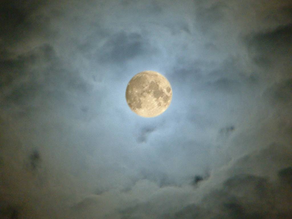 Click now to see this image full size.