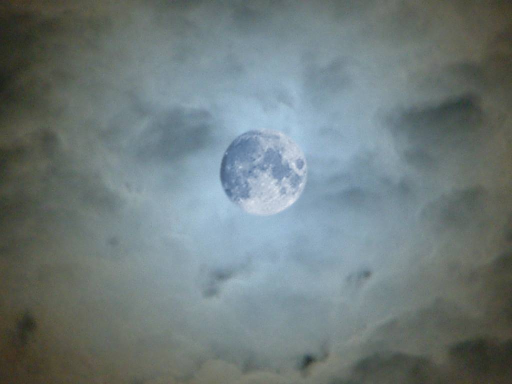 Click now to see this image full size.