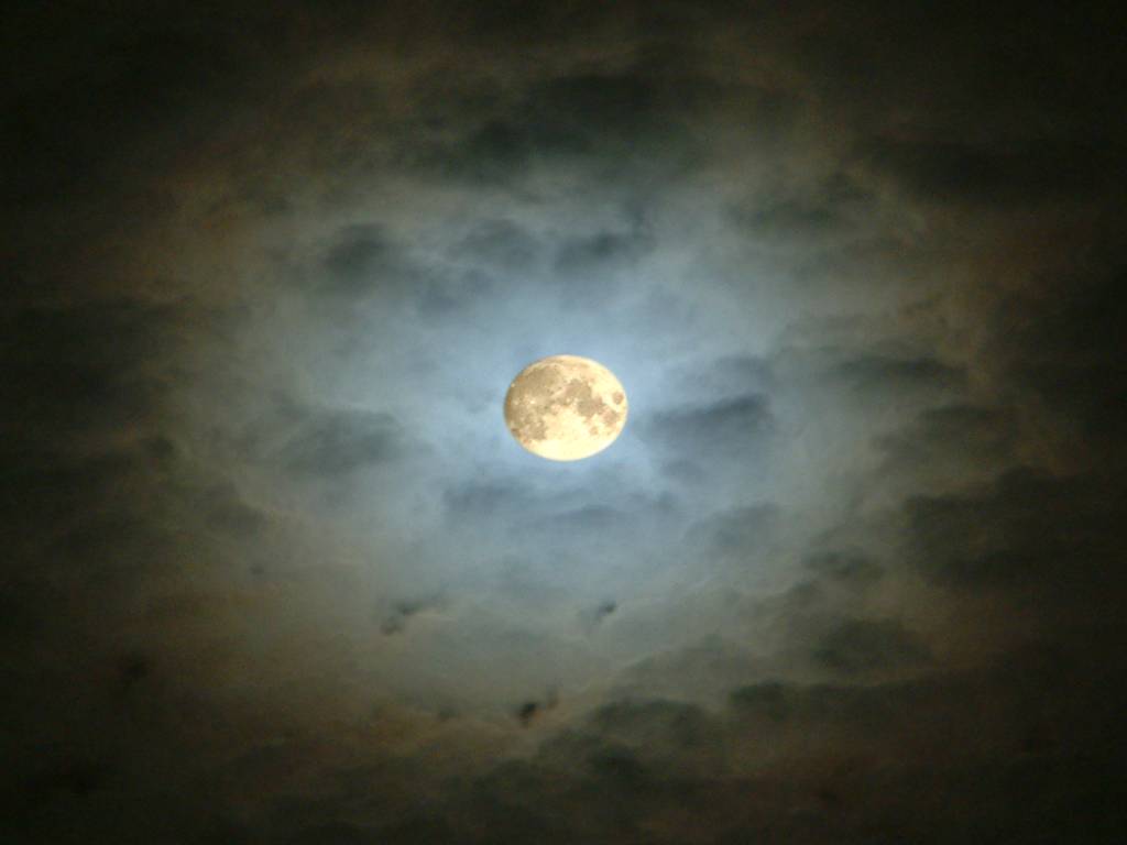 Click now to see this image full size.