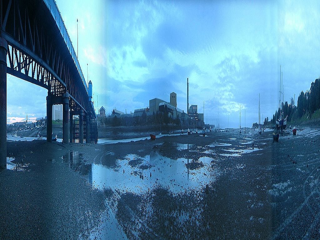 Click now to see this image full size.