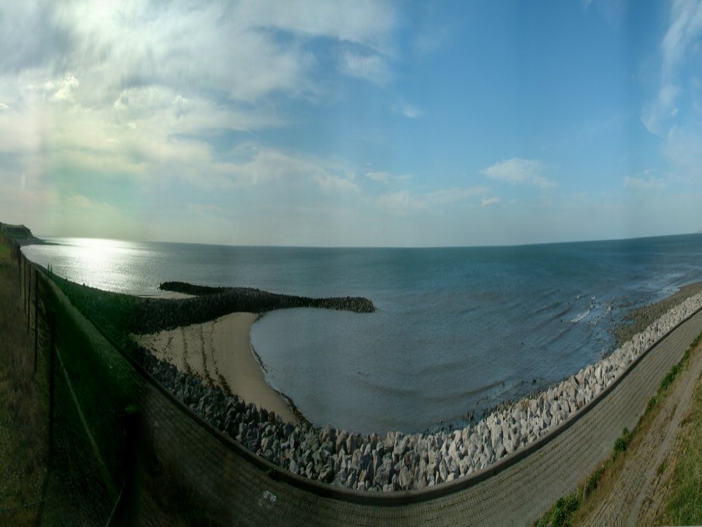 Click now to see this image full size.