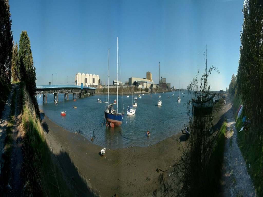 Click now to see this image full size.