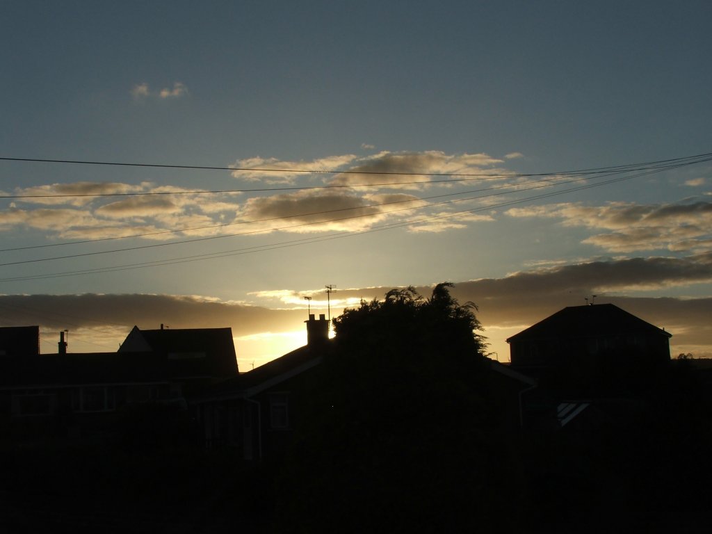 Click now to see this image full size.