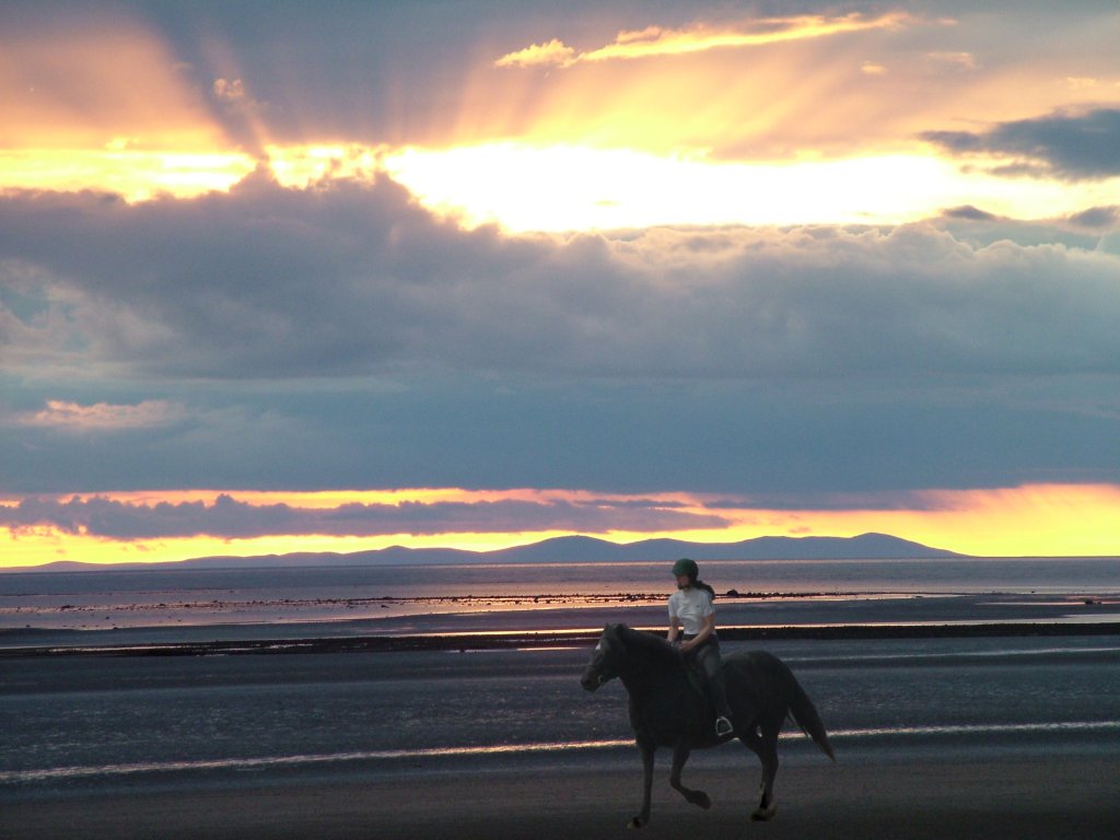 Click now to see this image full size.