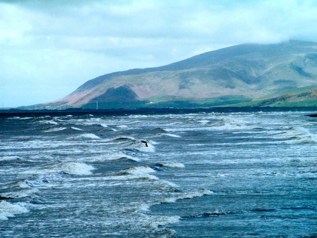 Click now to see this image full size.