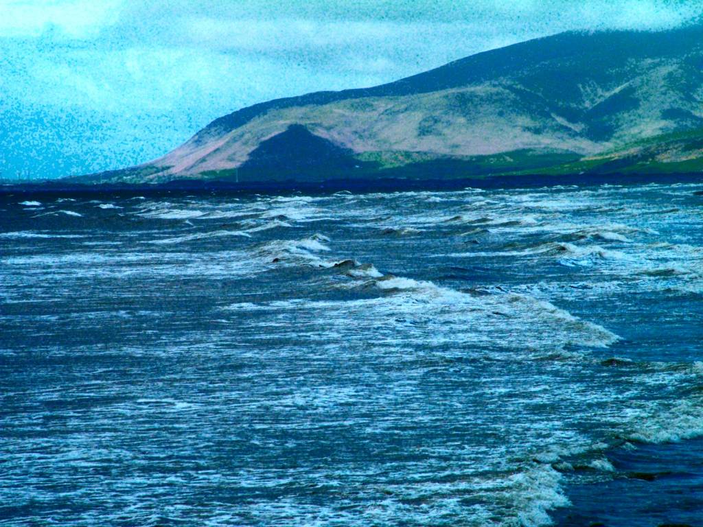 Click now to see this image full size.