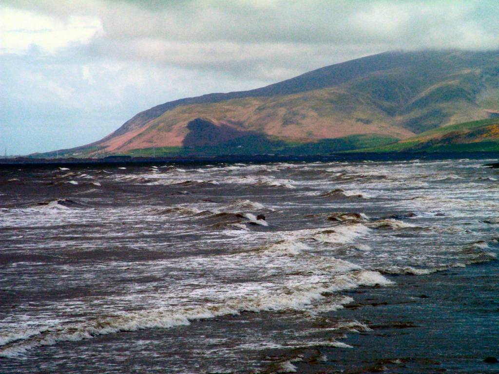 Click now to see this image full size.