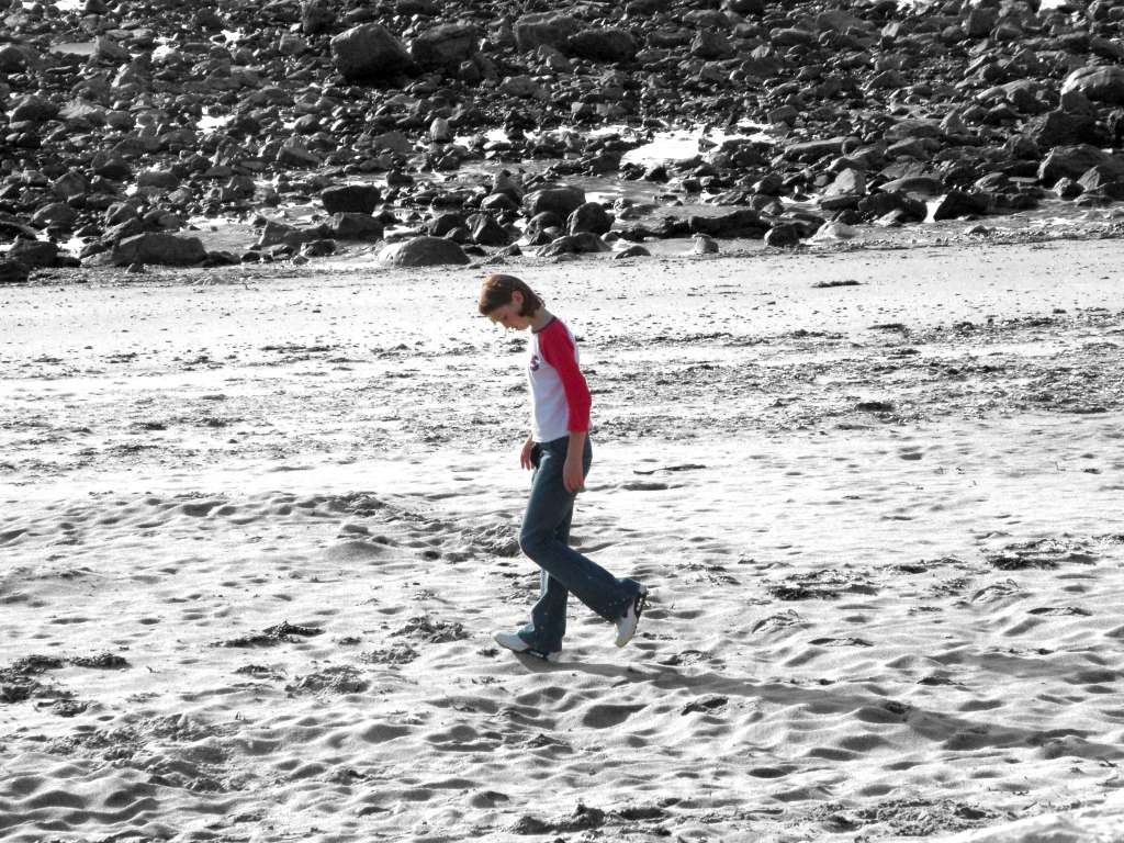 Click now to see this image full size.