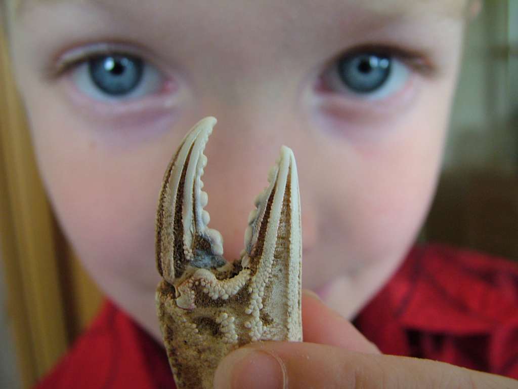 Click now to see this image full size.