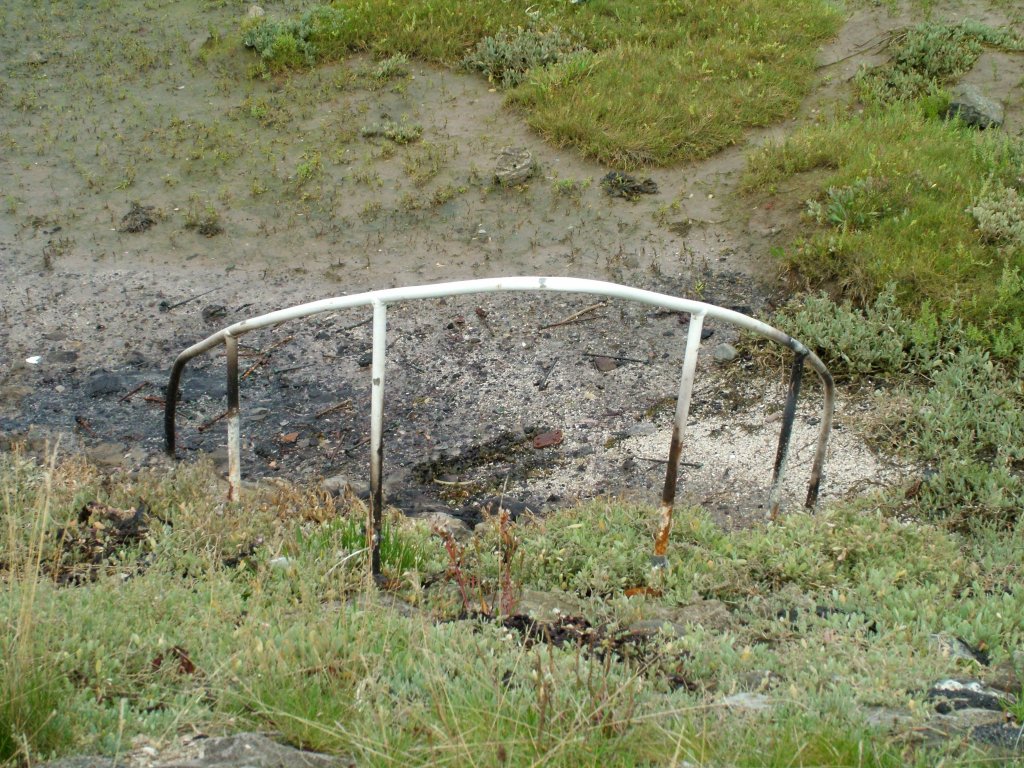 Click now to see this image full size.