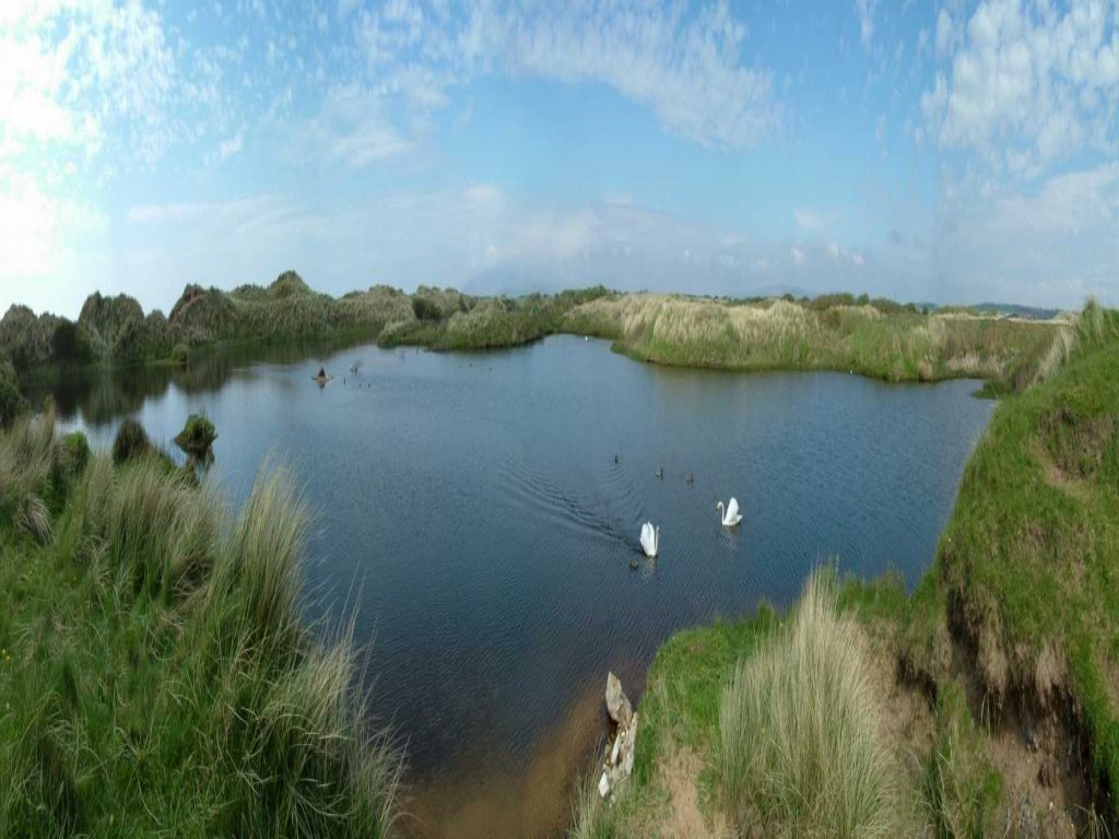 Click now to see this image full size.