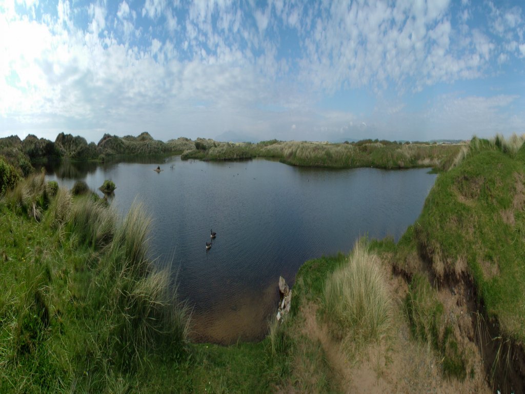 Click now to see this image full size.