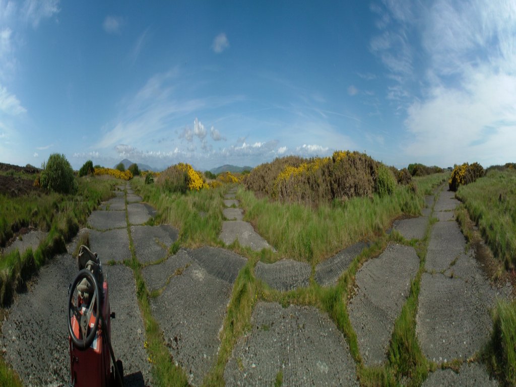 Click now to see this image full size.