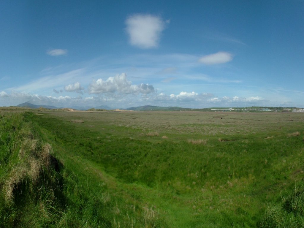 Click now to see this image full size.