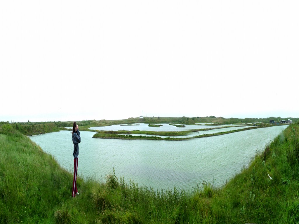 Click now to see this image full size.