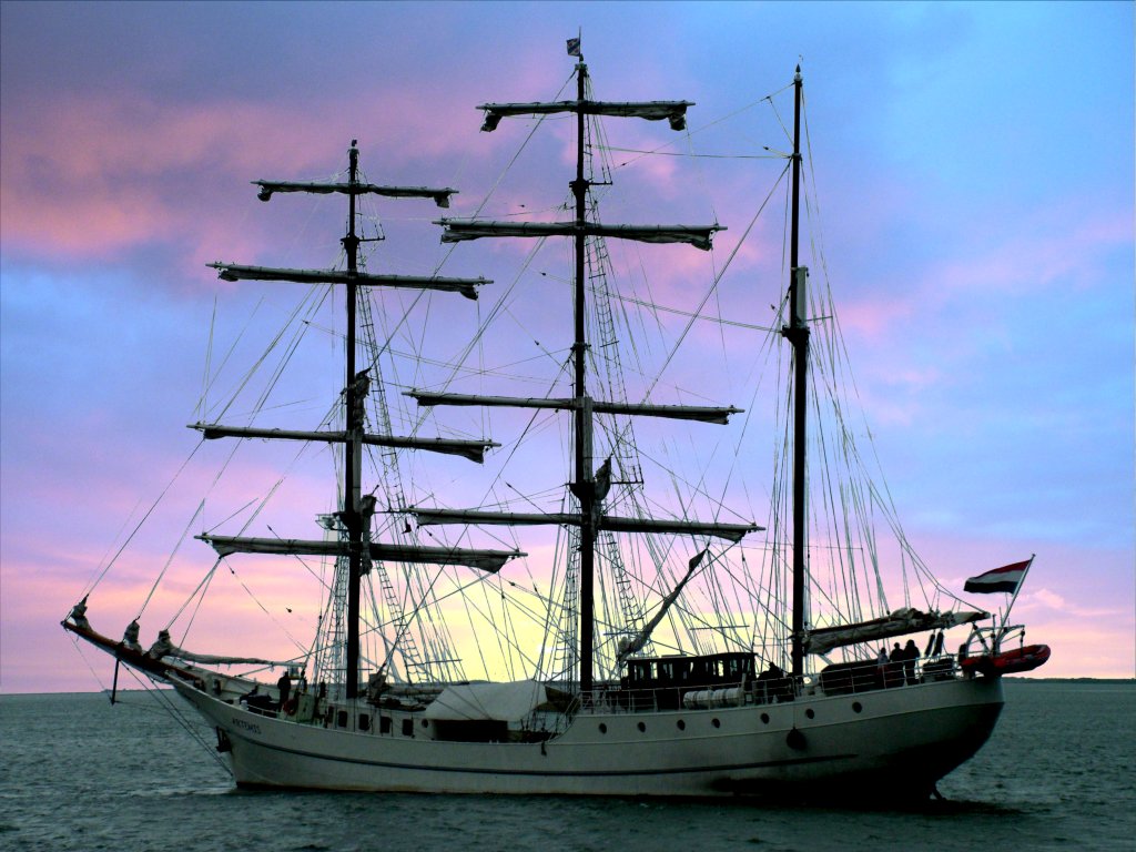 Click now to see this image full size.