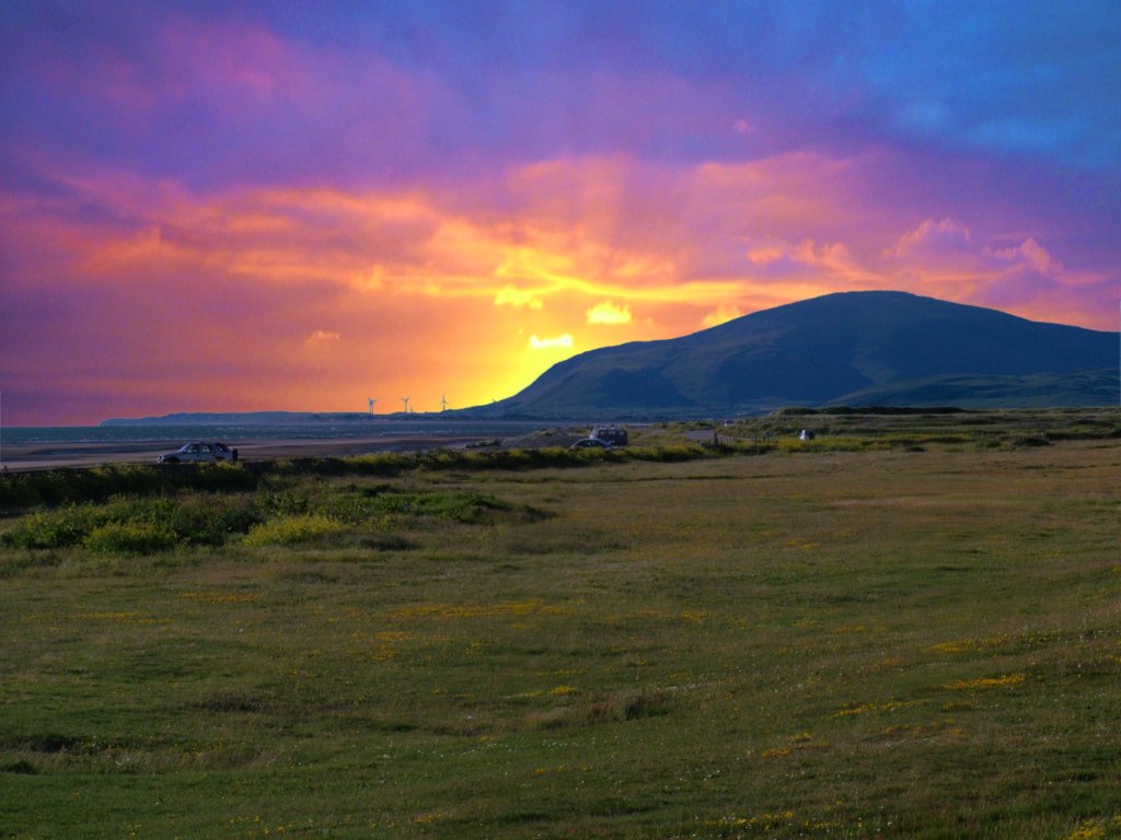 Click now to see this image full size.