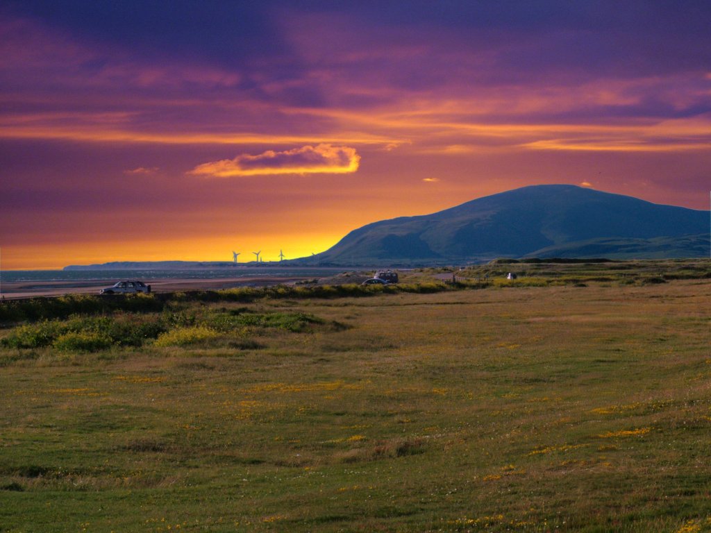 Click now to see this image full size.