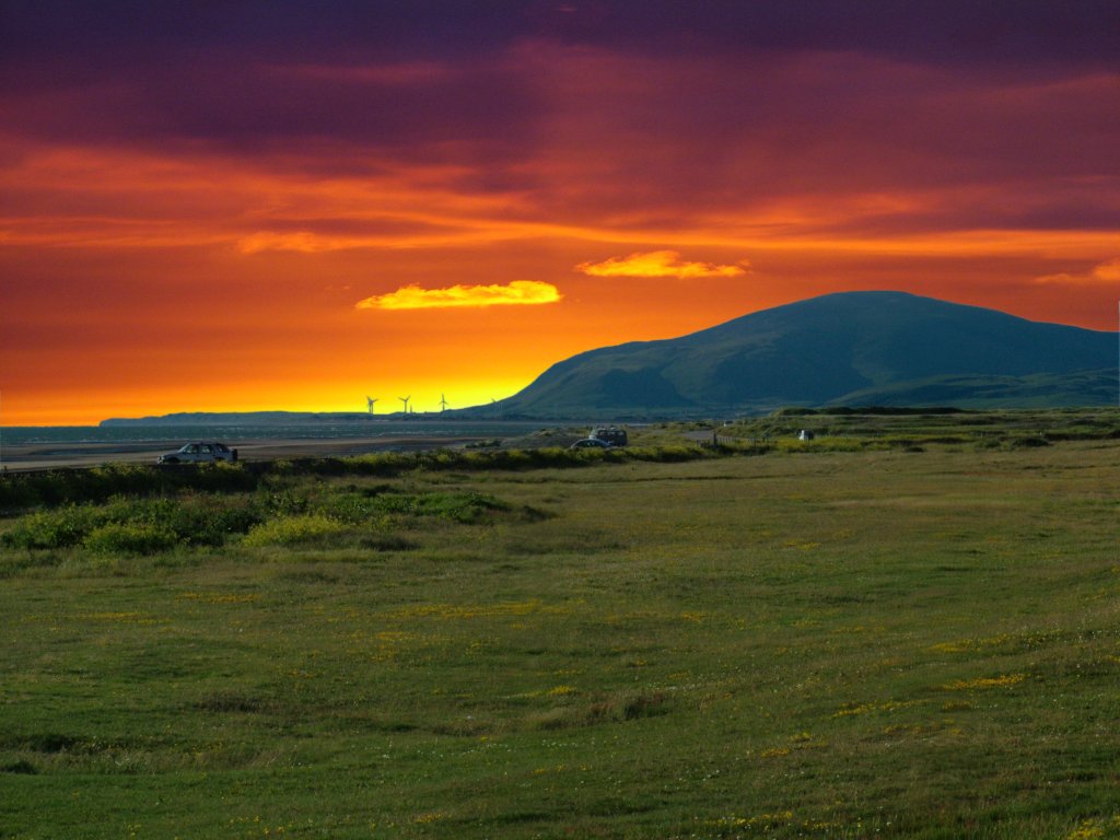 Click now to see this image full size.