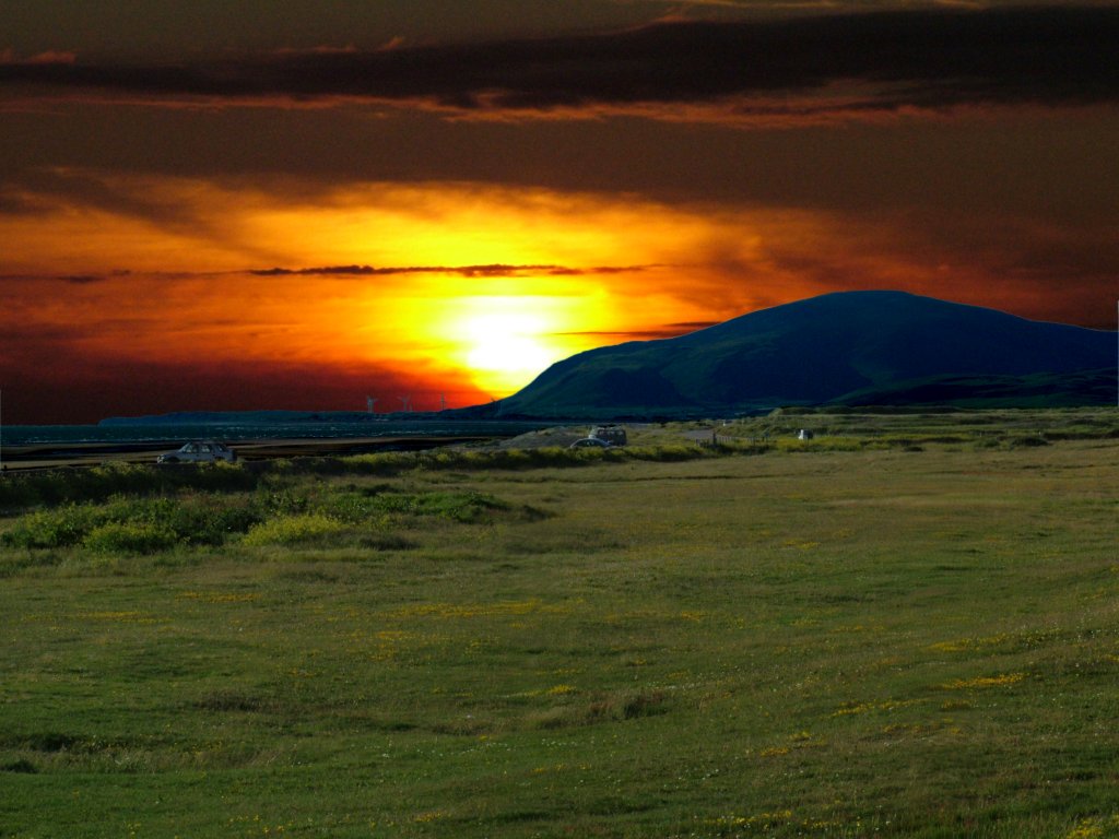 Click now to see this image full size.