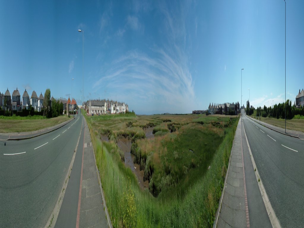 Click now to see this image full size.