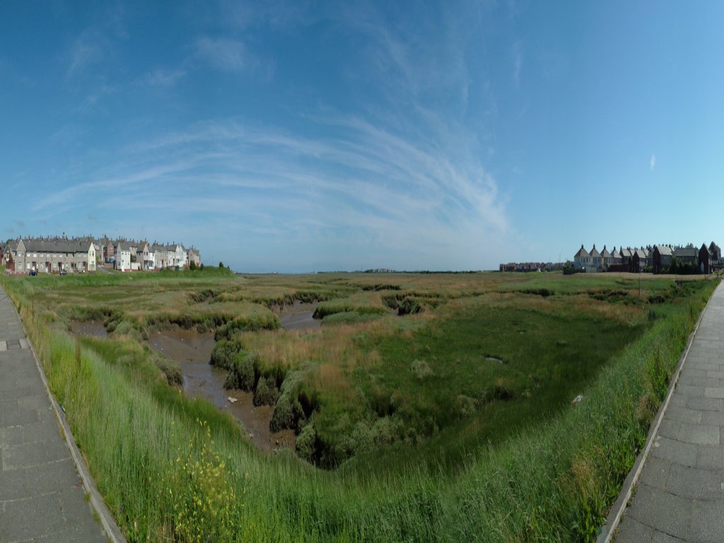 Click now to see this image full size.