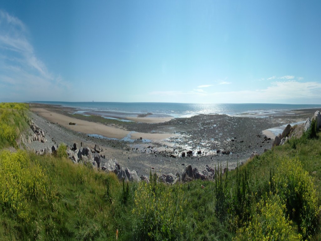 Click now to see this image full size.