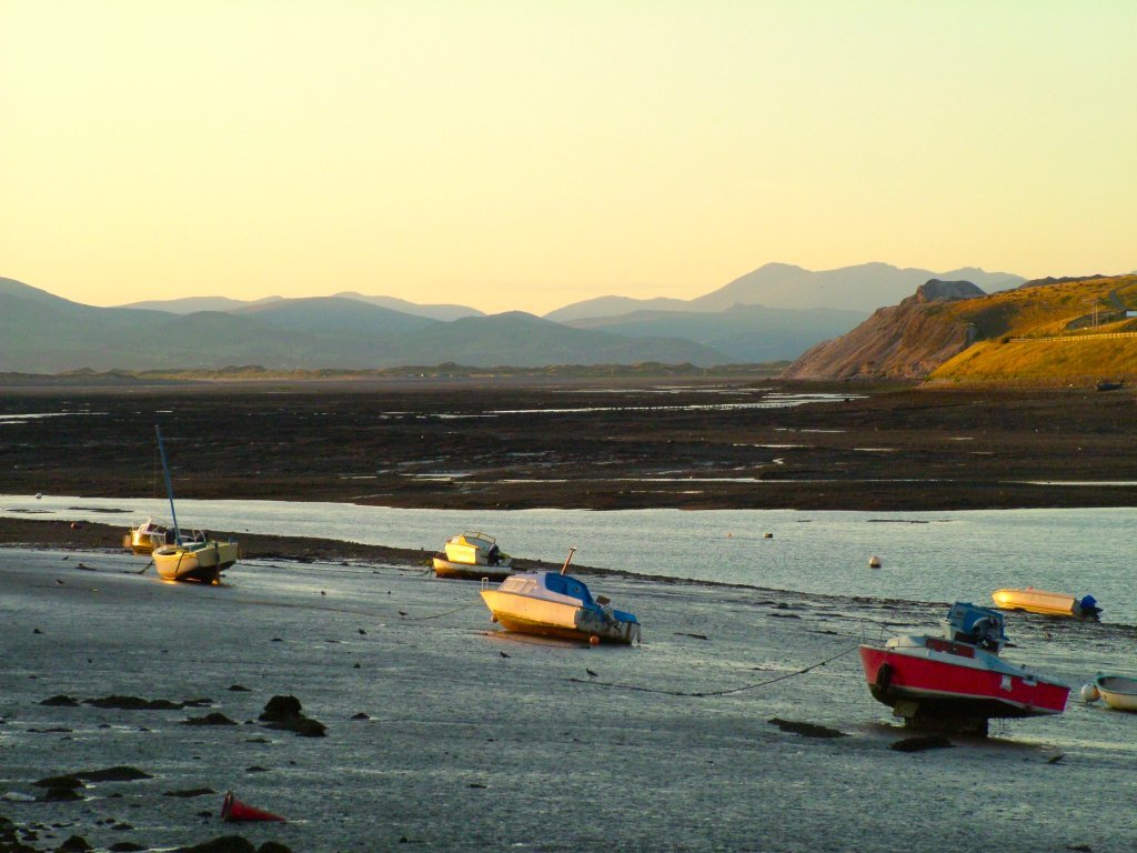 Click now to see this image full size.