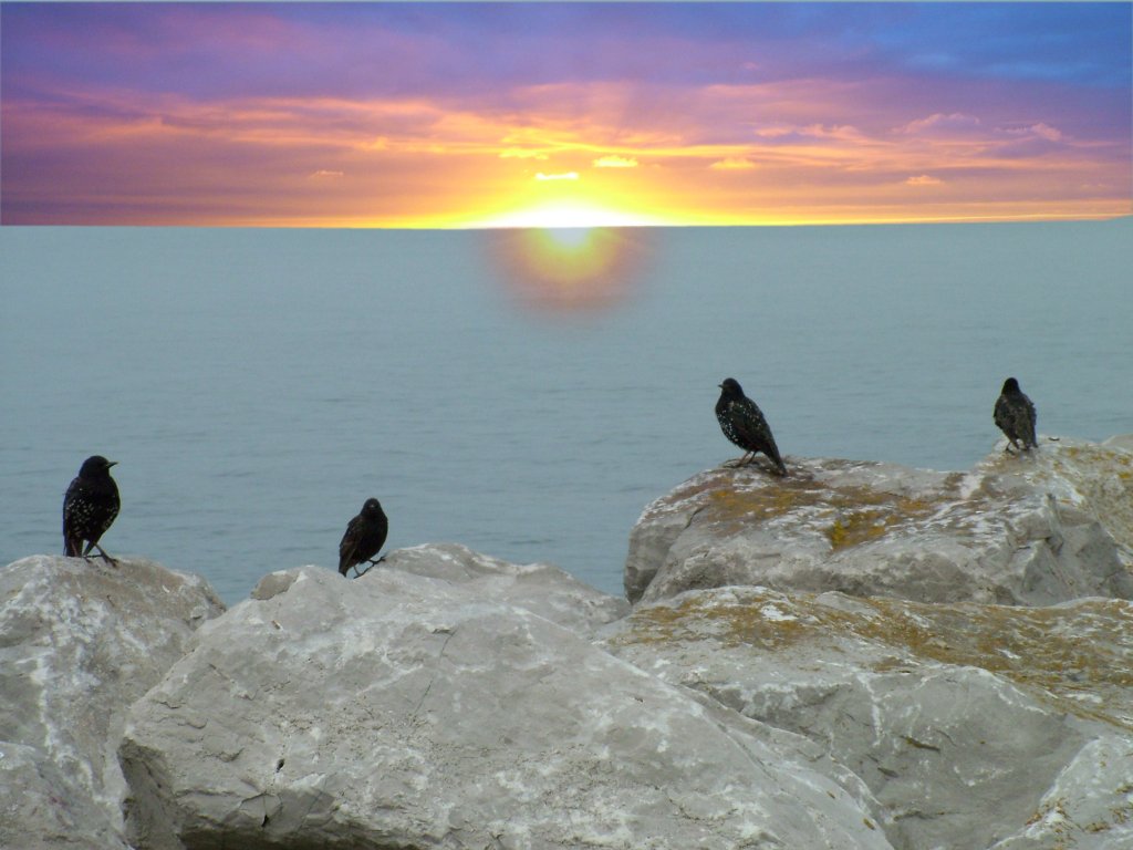 Click now to see this image full size.