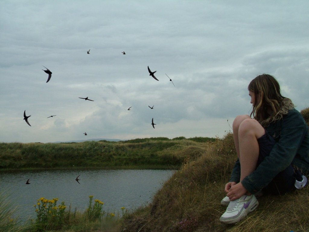 Click now to see this image full size.