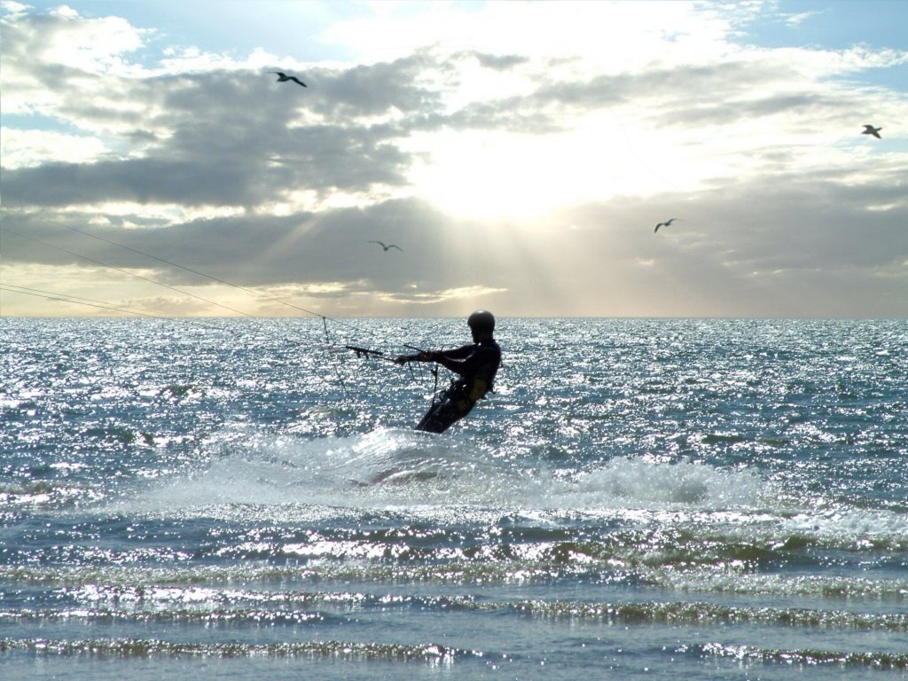 Click now to see this image full size.