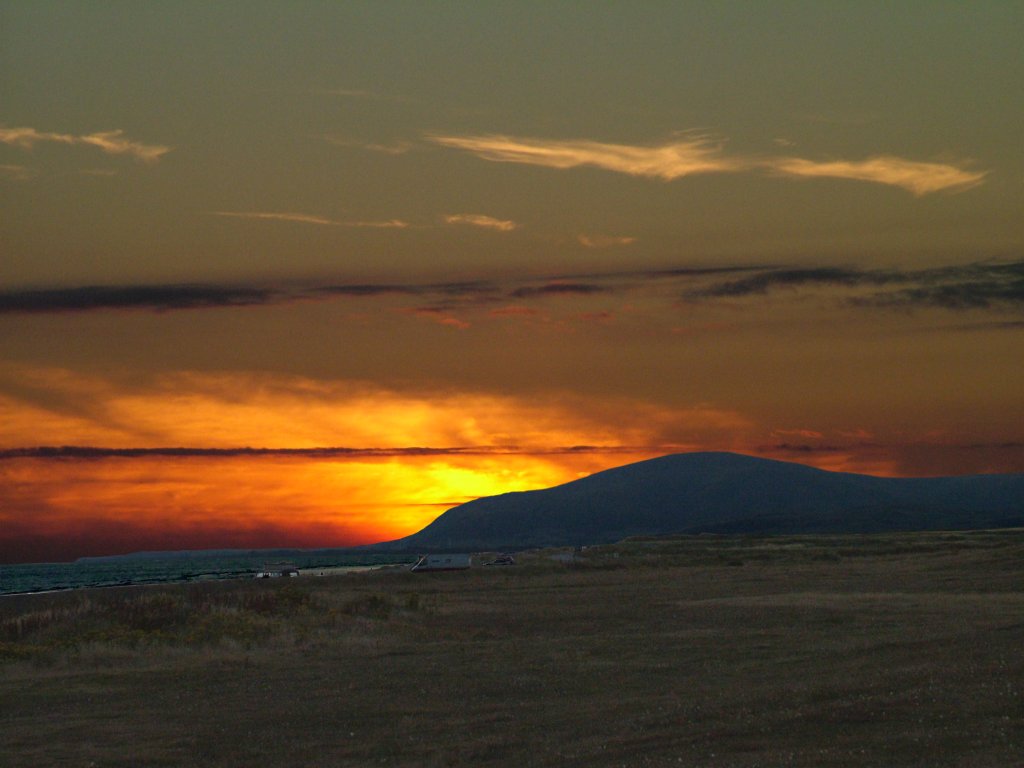 Click now to see this image full size.