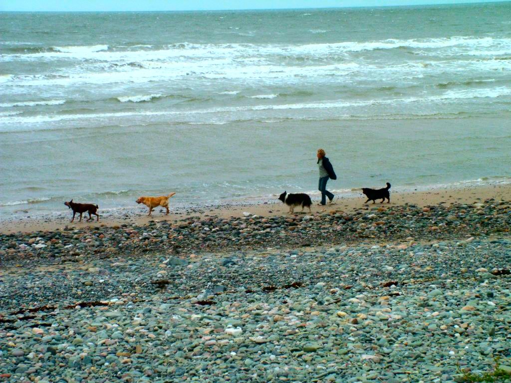 Click now to see this image full size.