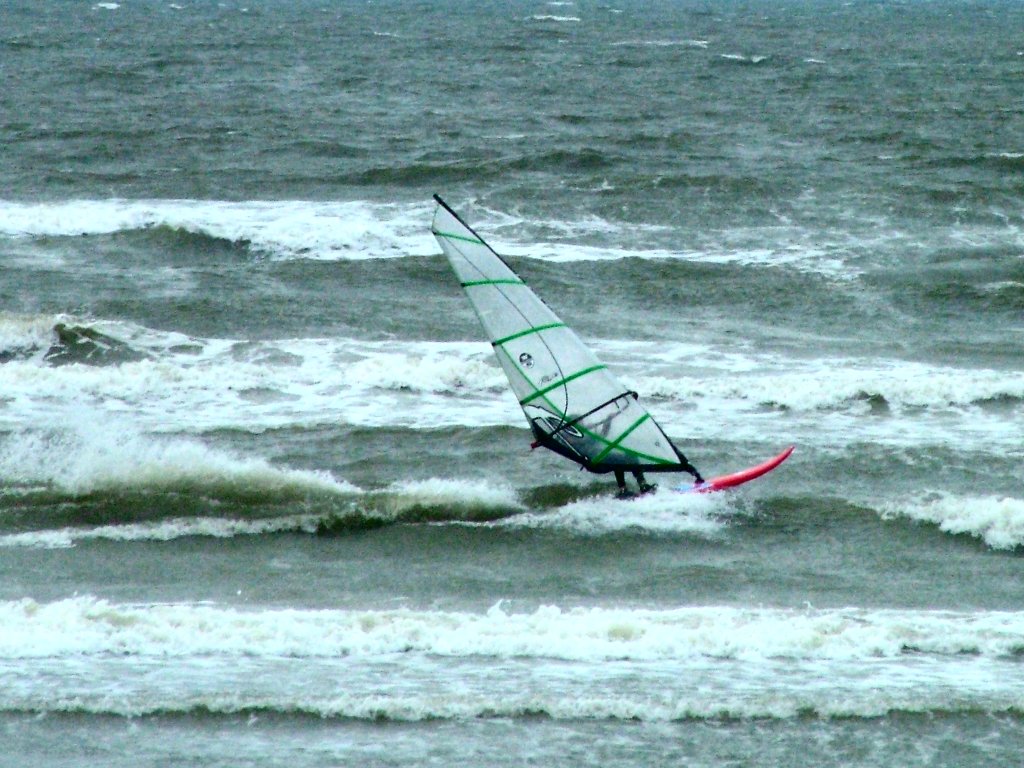 Click now to see this image full size.